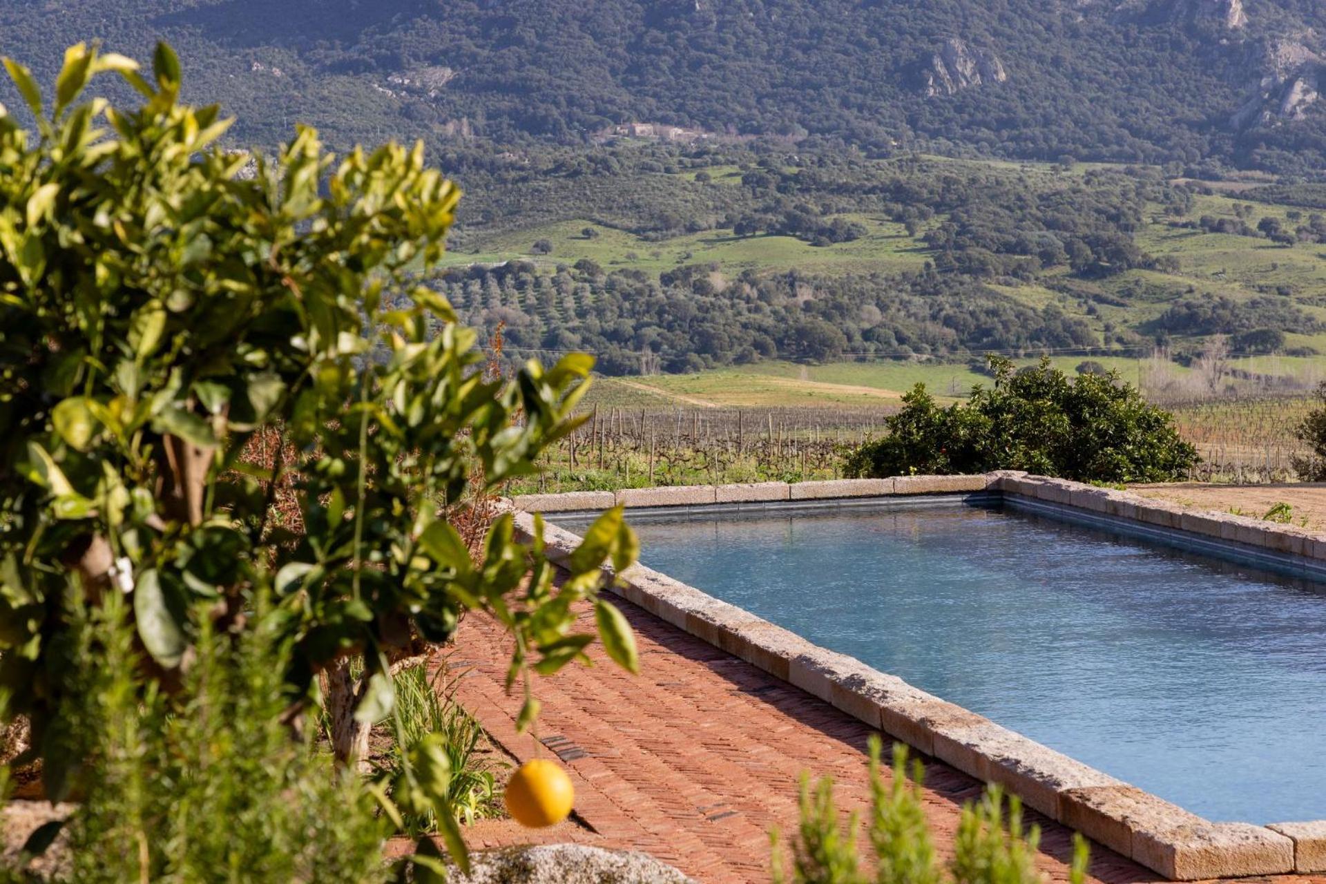 Le Hameau De Saparale Sartène Zewnętrze zdjęcie